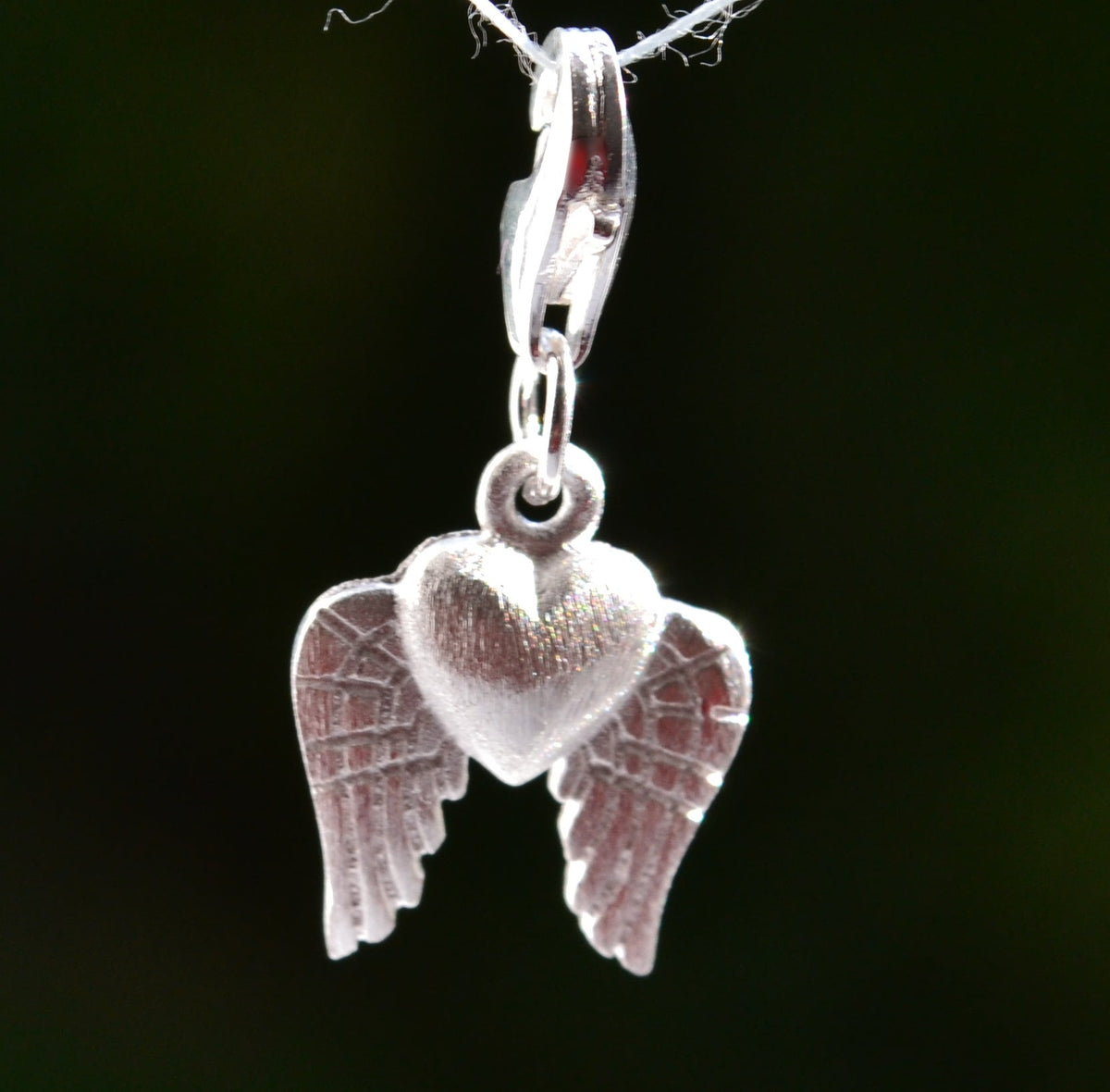 Clip On Charm